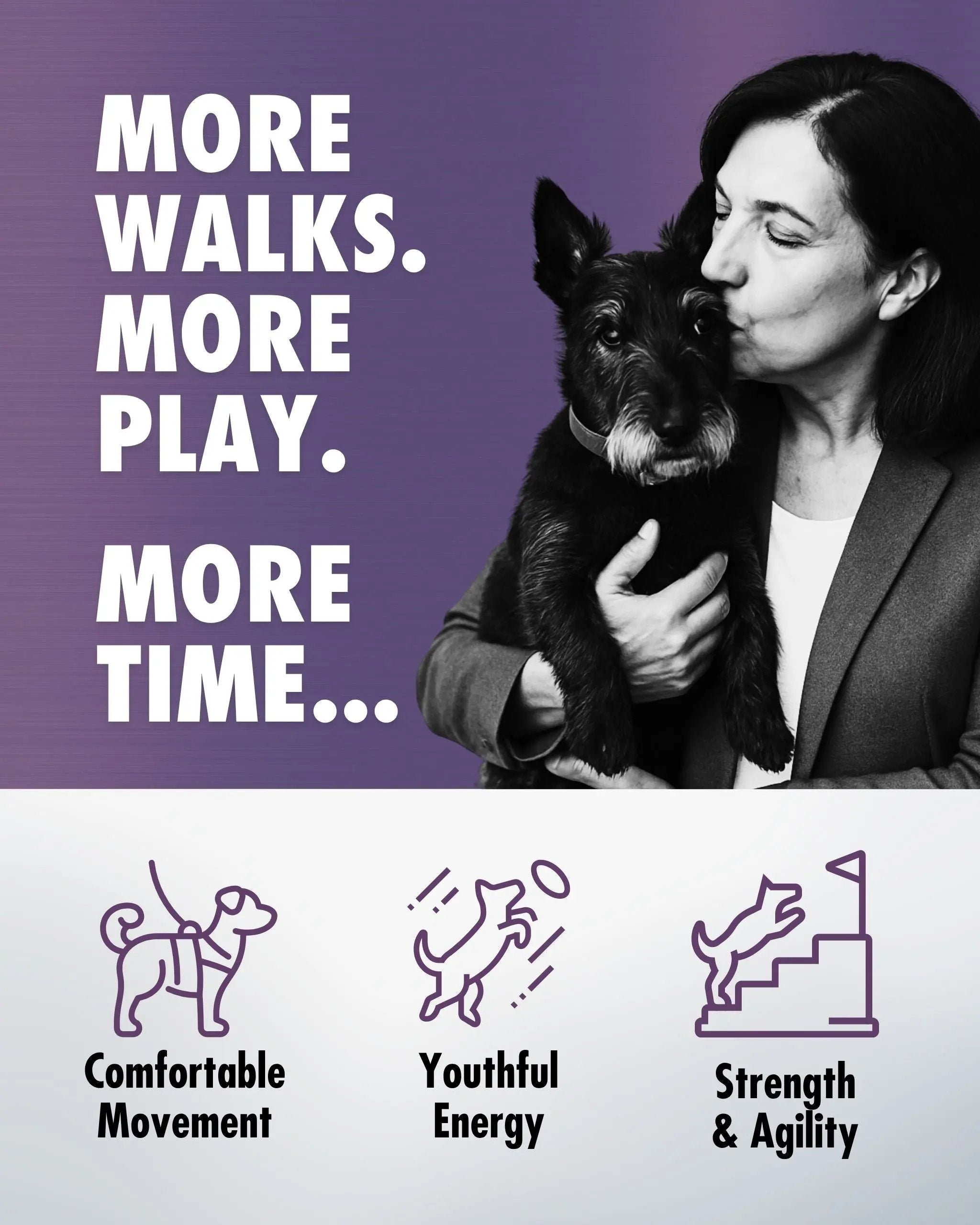 RenuVite® Anti-Aging 4 Dogs Health Direct - More Walks